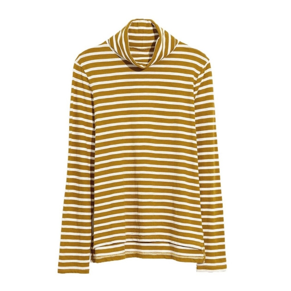 Madewell Whisper Cotton Turtleneck in Helene Stripe